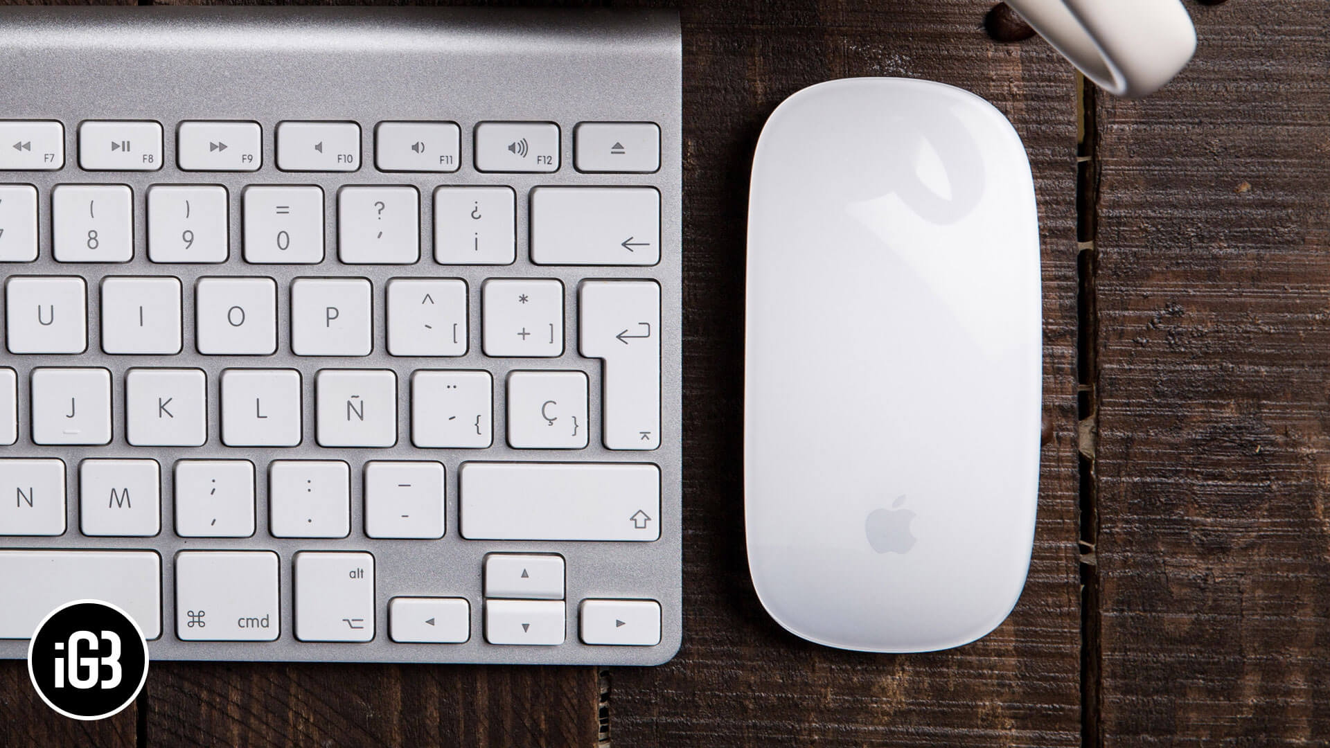 best mouse for apple mac